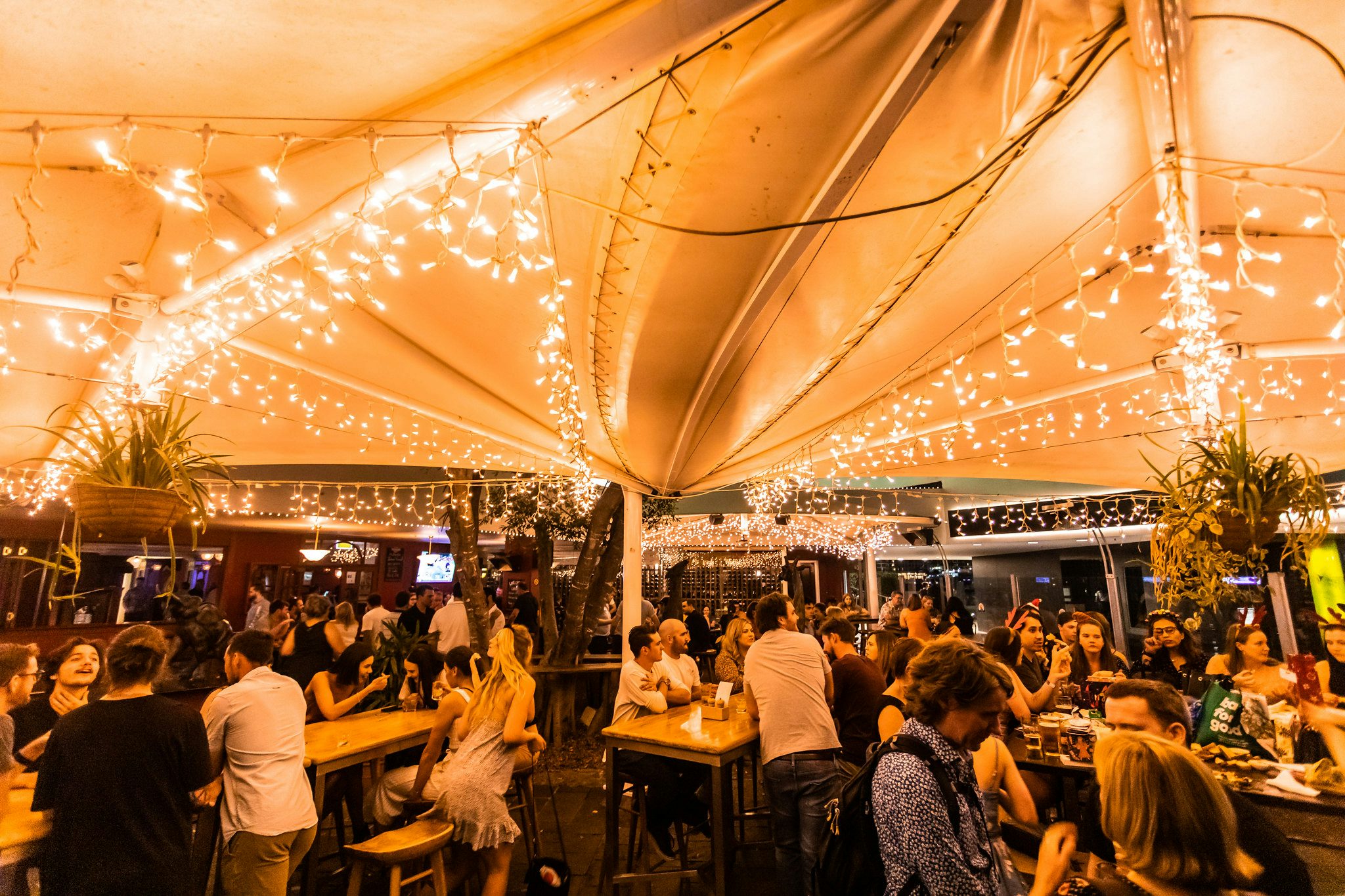 ELEPHANT BEER GARDEN 2