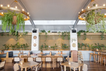 GARDEN BAR 5