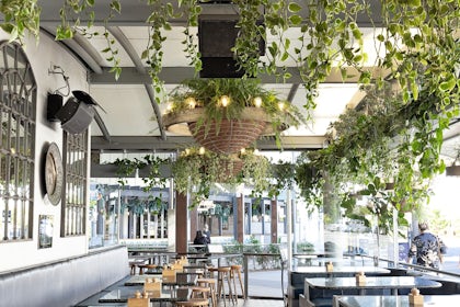 BEER GARDEN 2