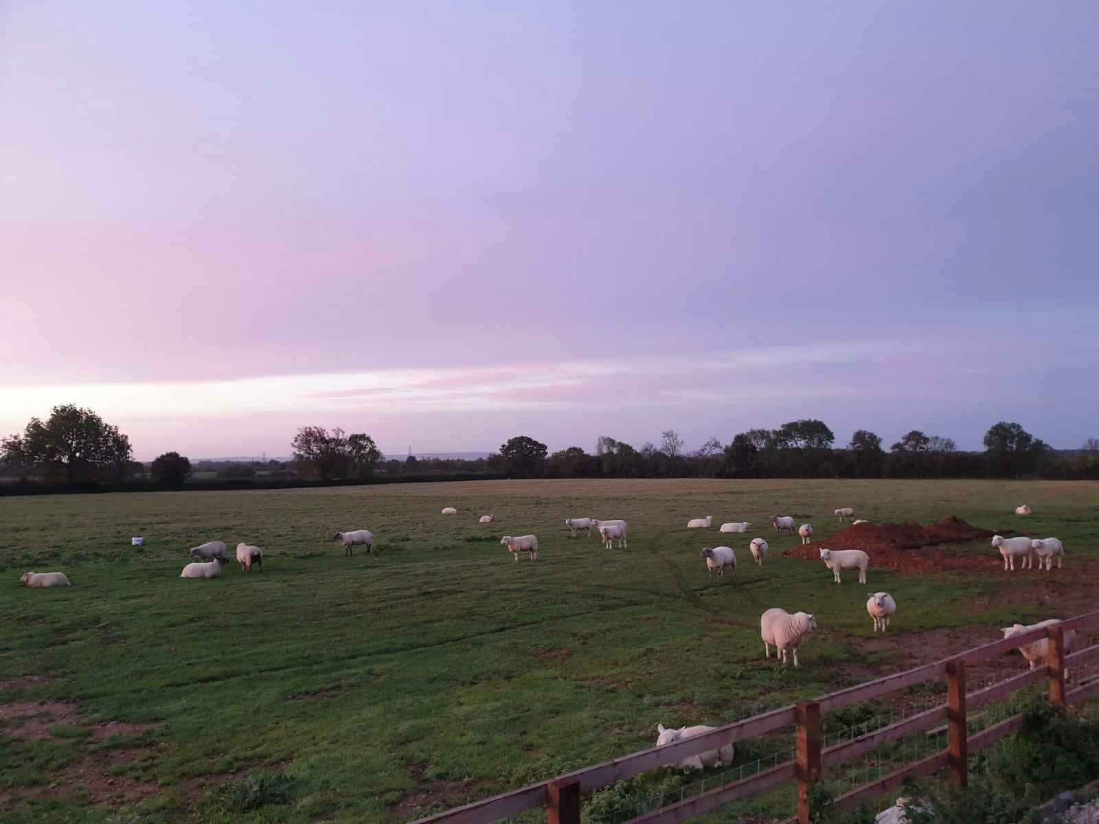 TV Studio / Photographic Studio (1000 Sq.ft) 12