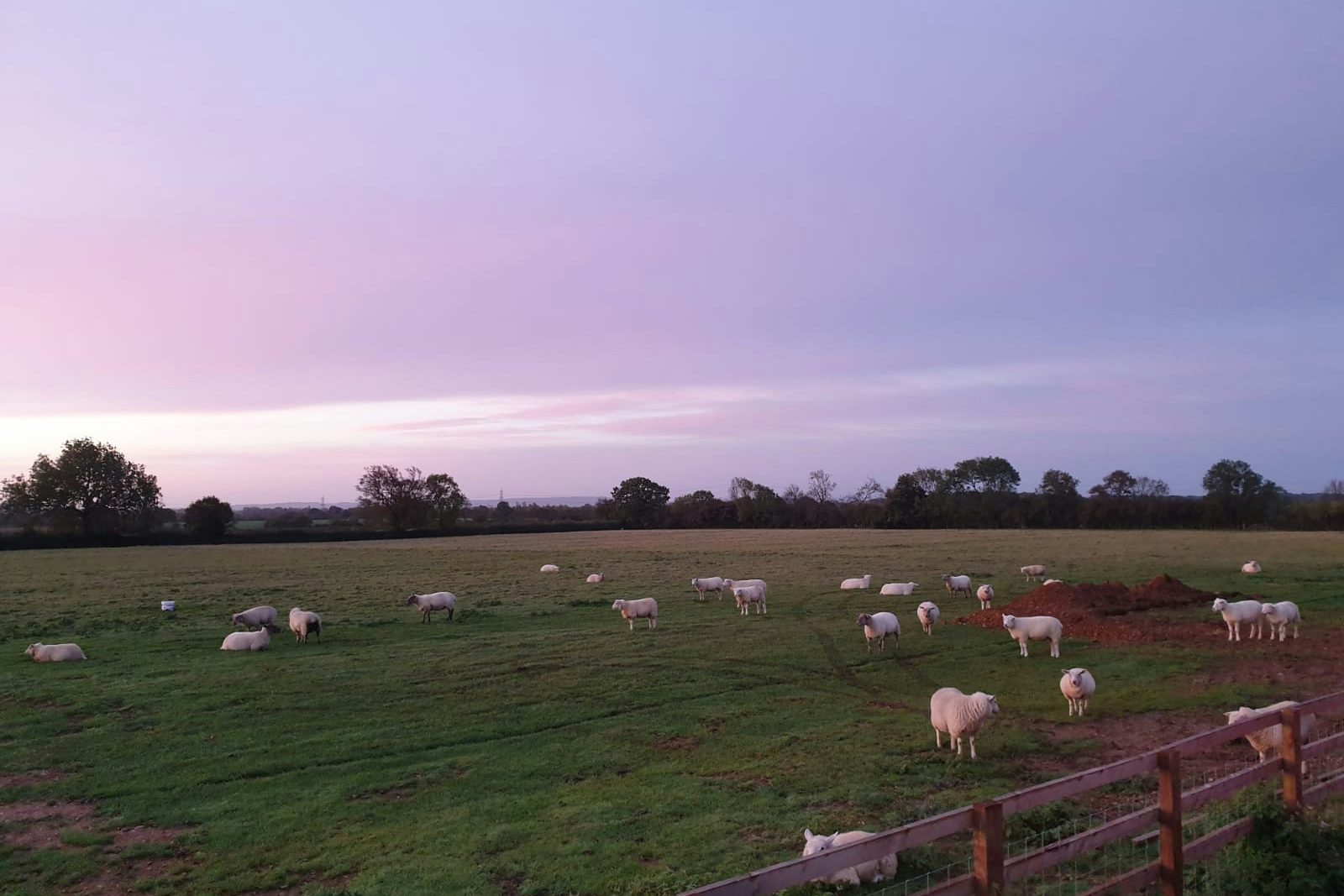 TV Studio / Photographic Studio (1000 Sq.ft) 12