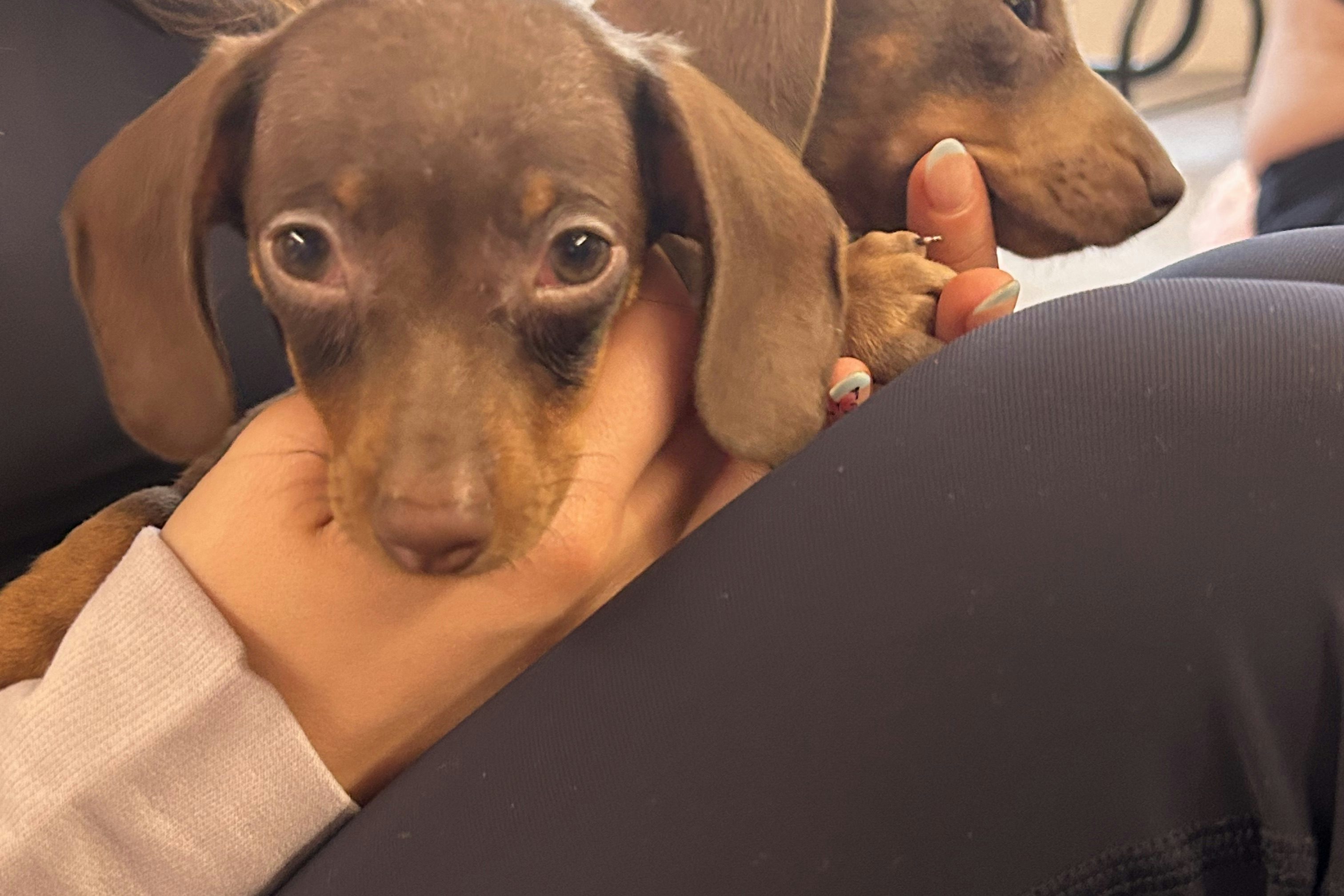 Vita - Team Activity 4