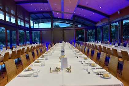 Meerkat Room 2