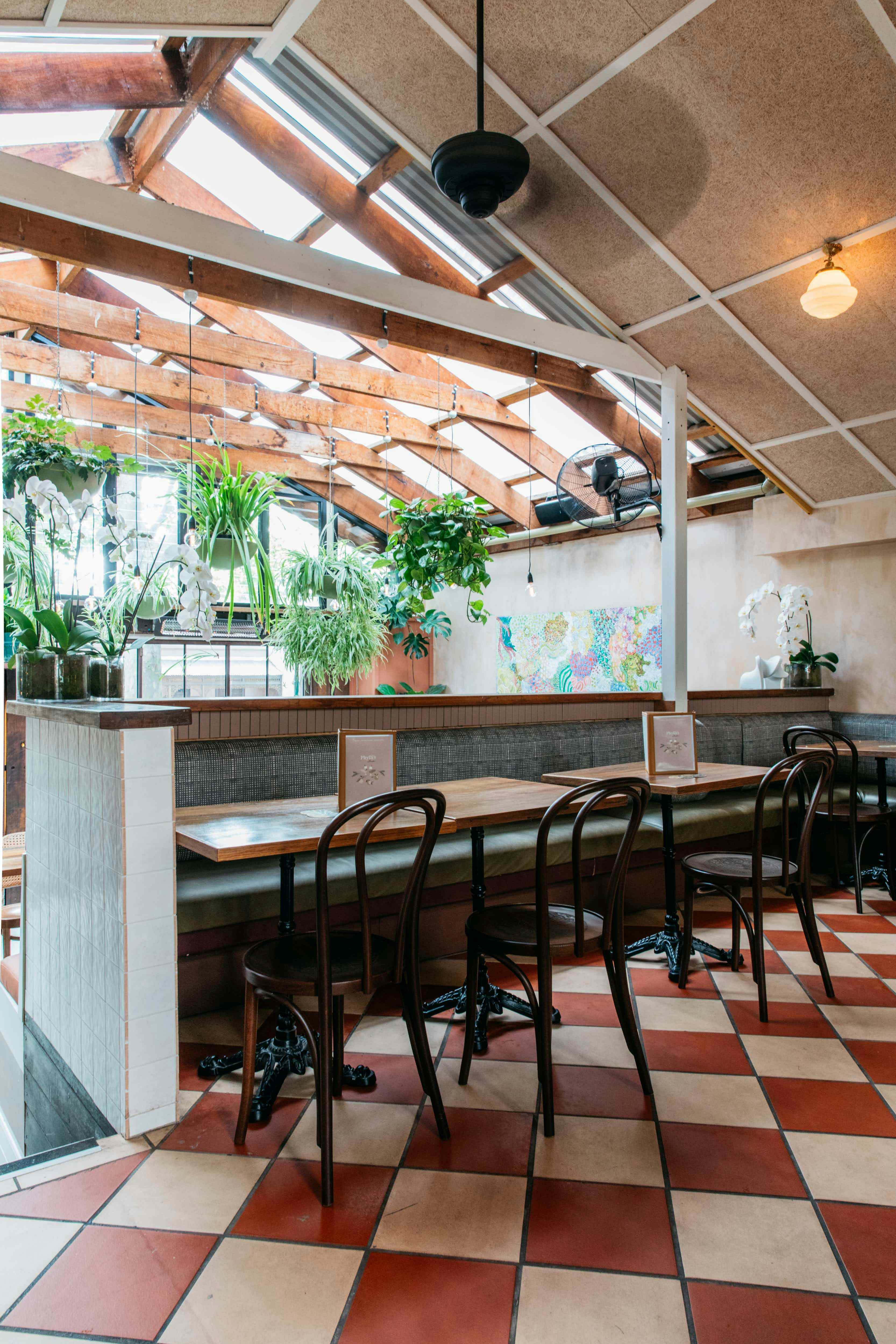 Phylli's Exclusive 2