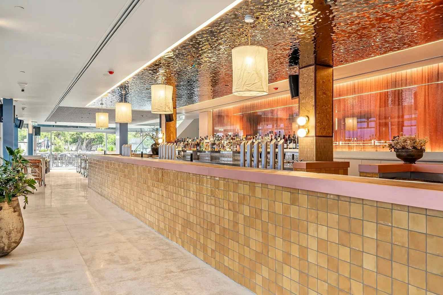 Cruise Level 1- Exclusive 1