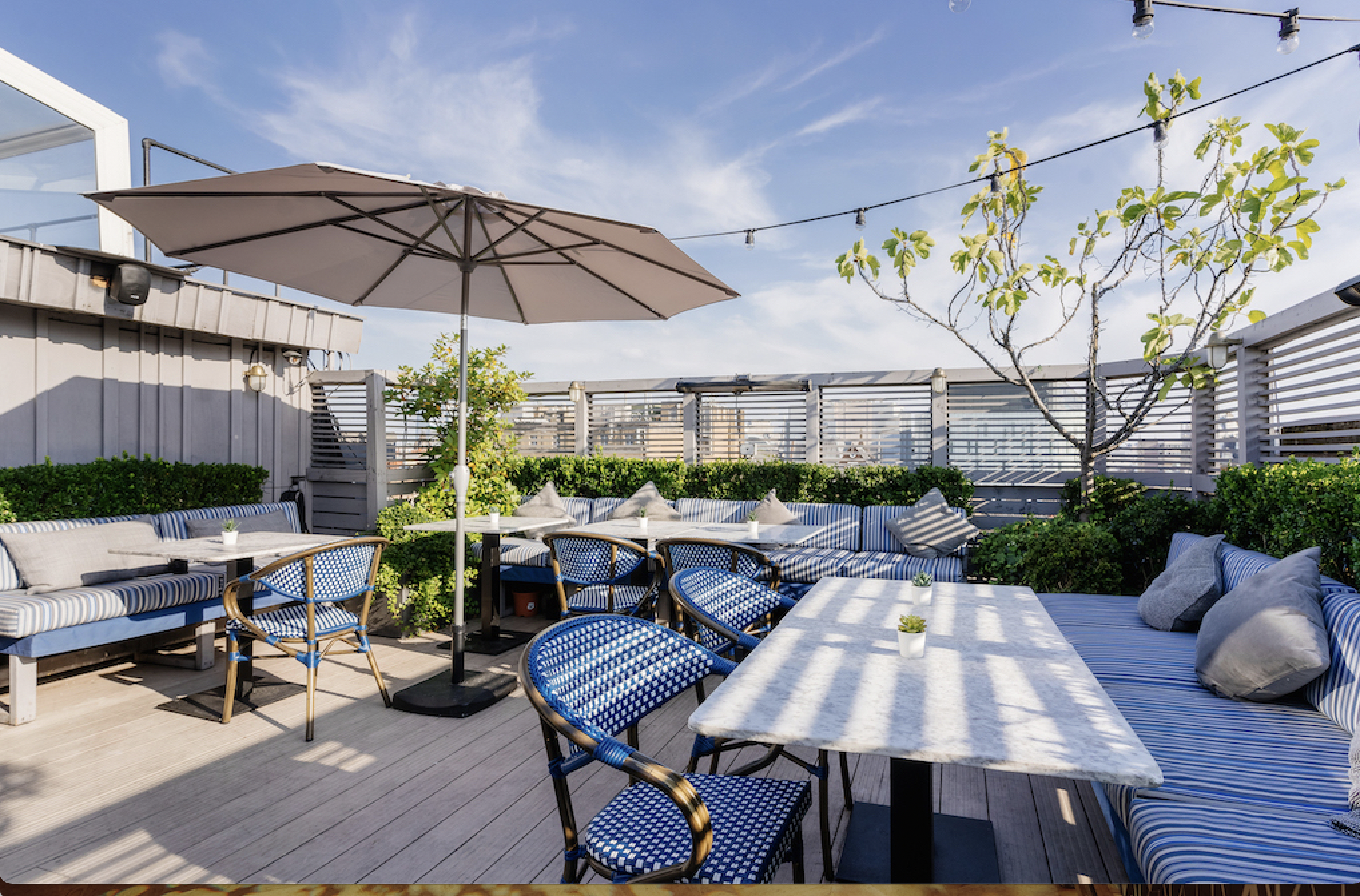 Roof Terrace (with retractable glass roof) & Green Room  2