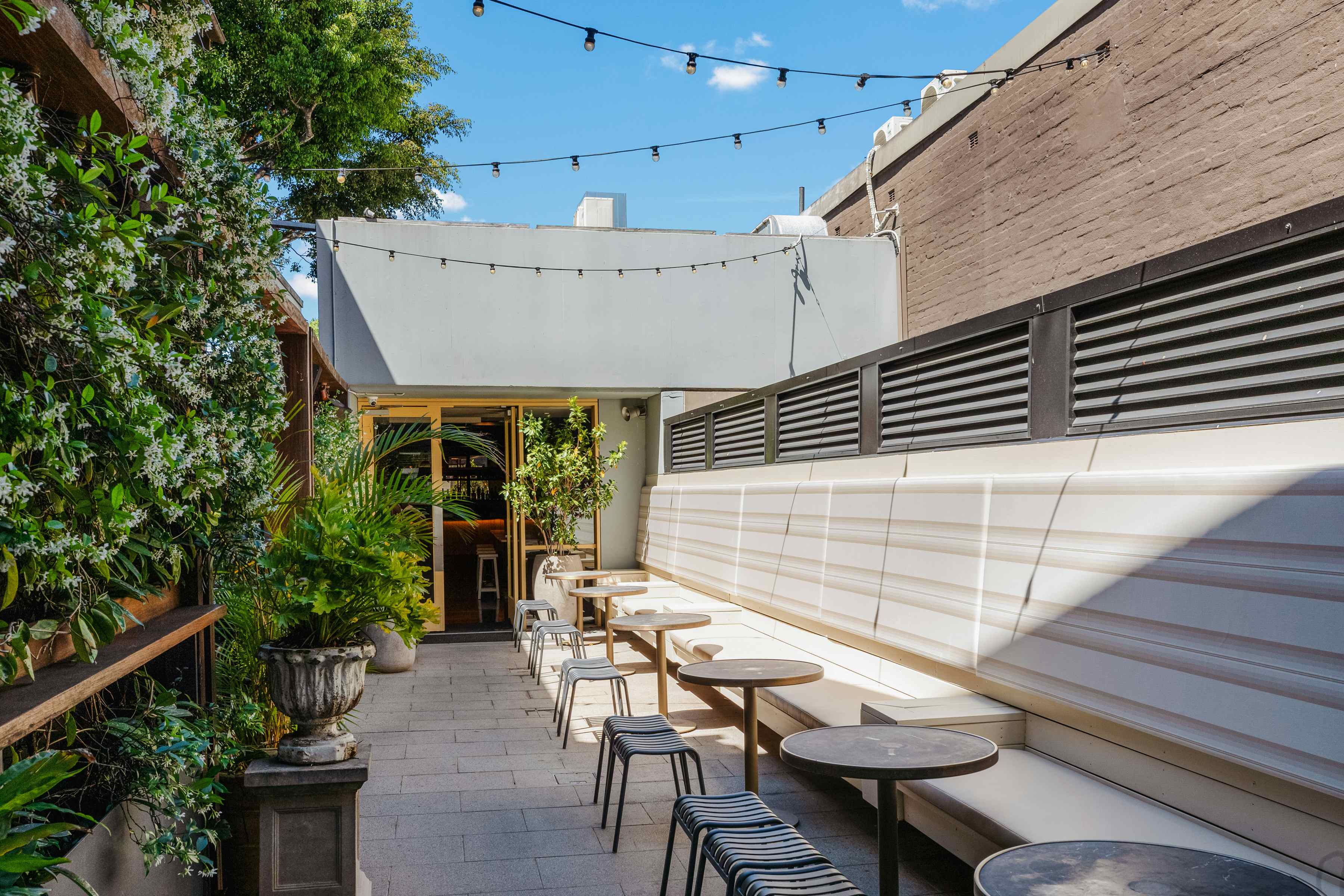 The Canopy & The Boulevard 6