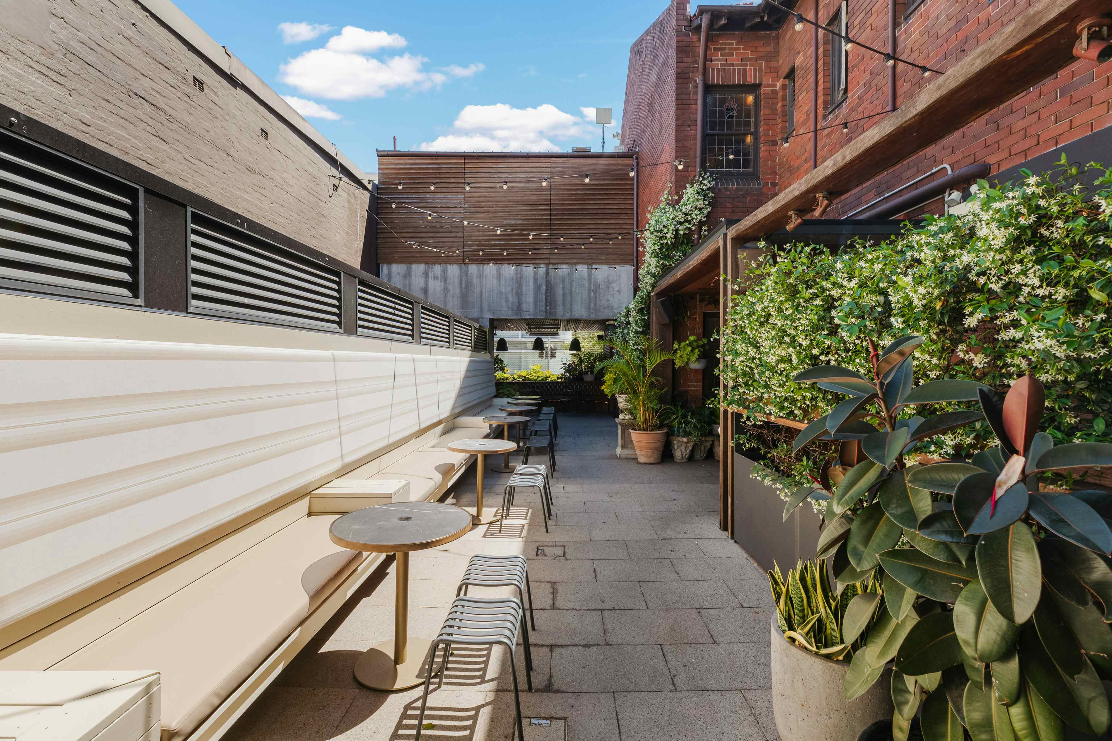 The Canopy & The Boulevard 5