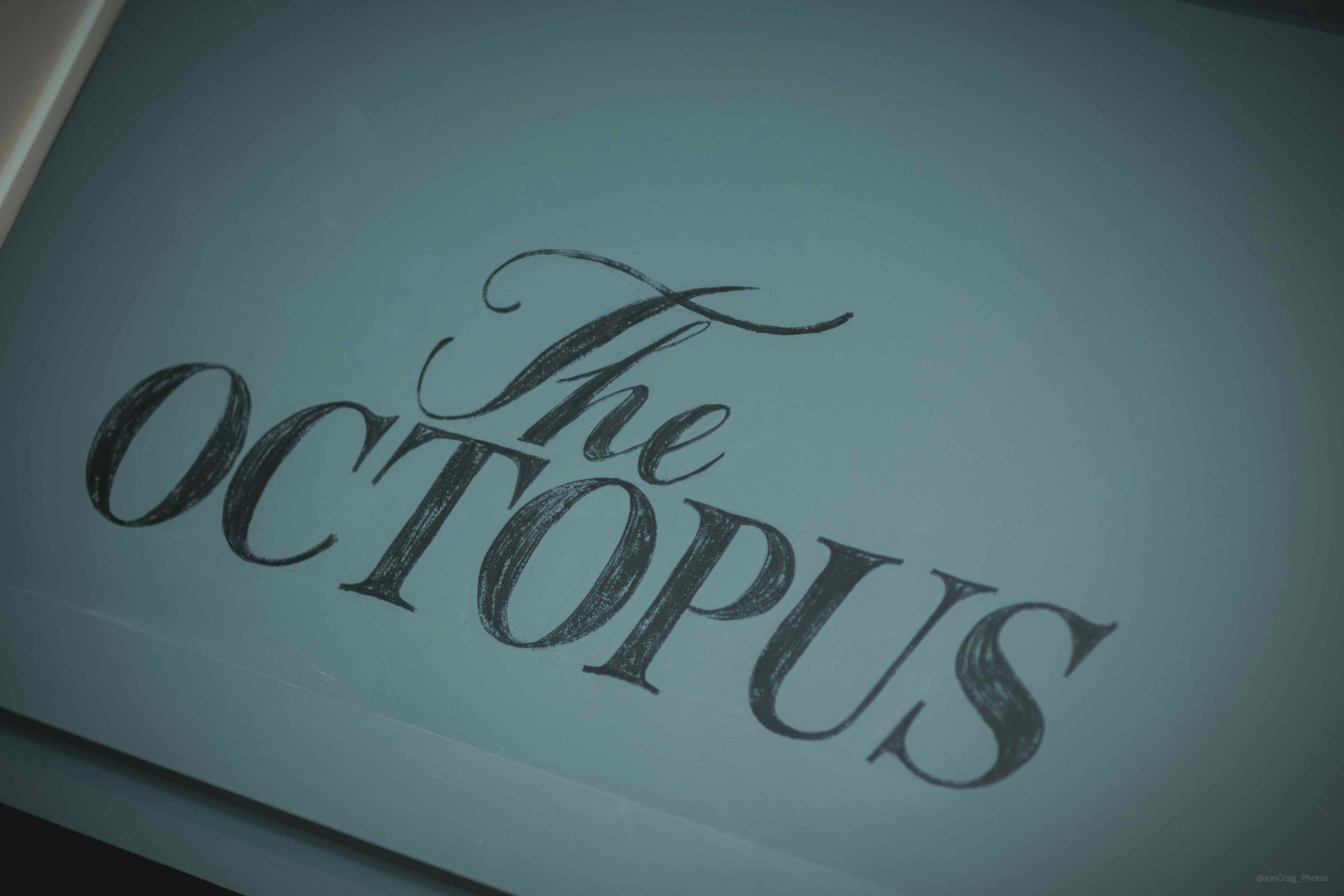 The Octopus 3