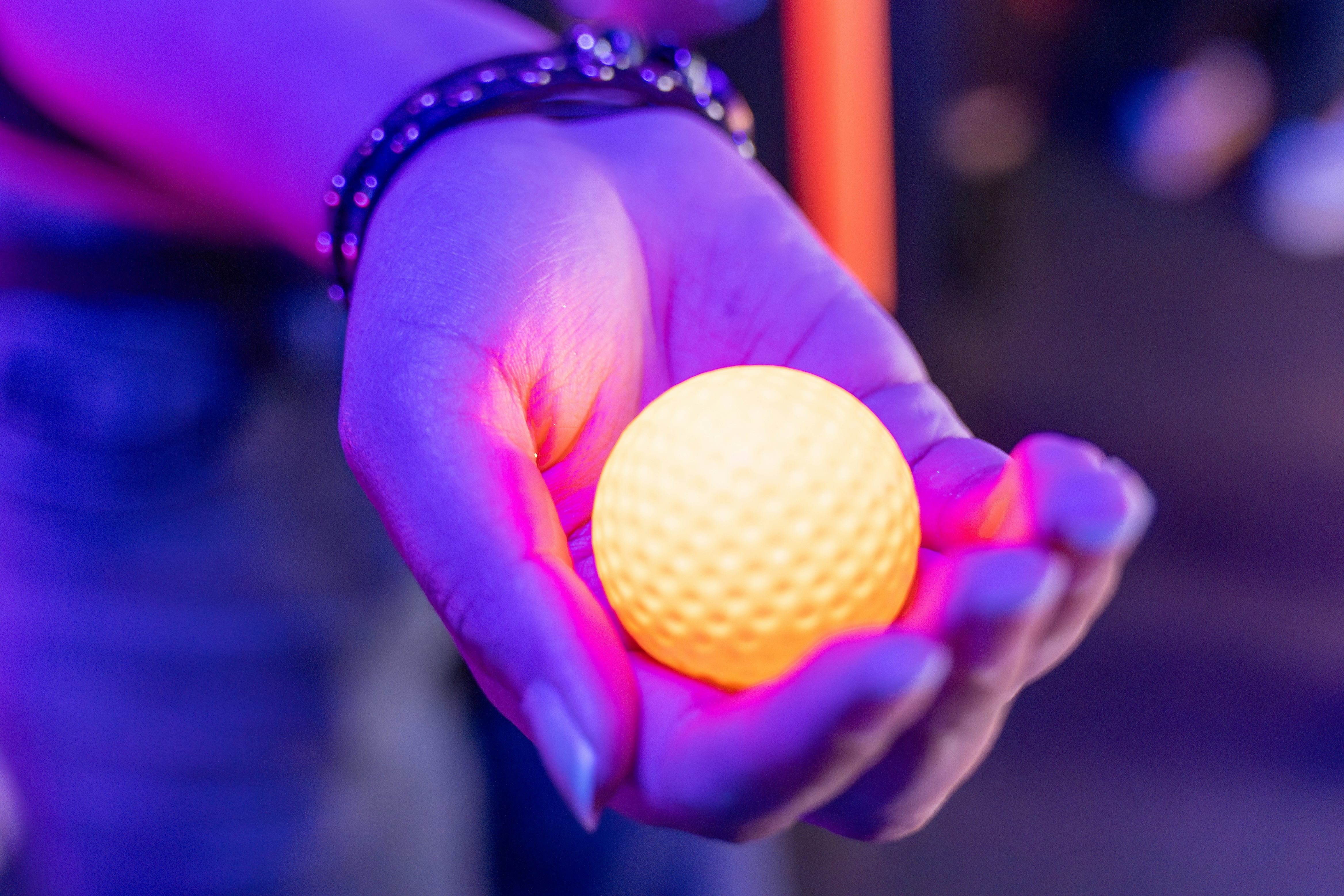 Day of the Dead course 1