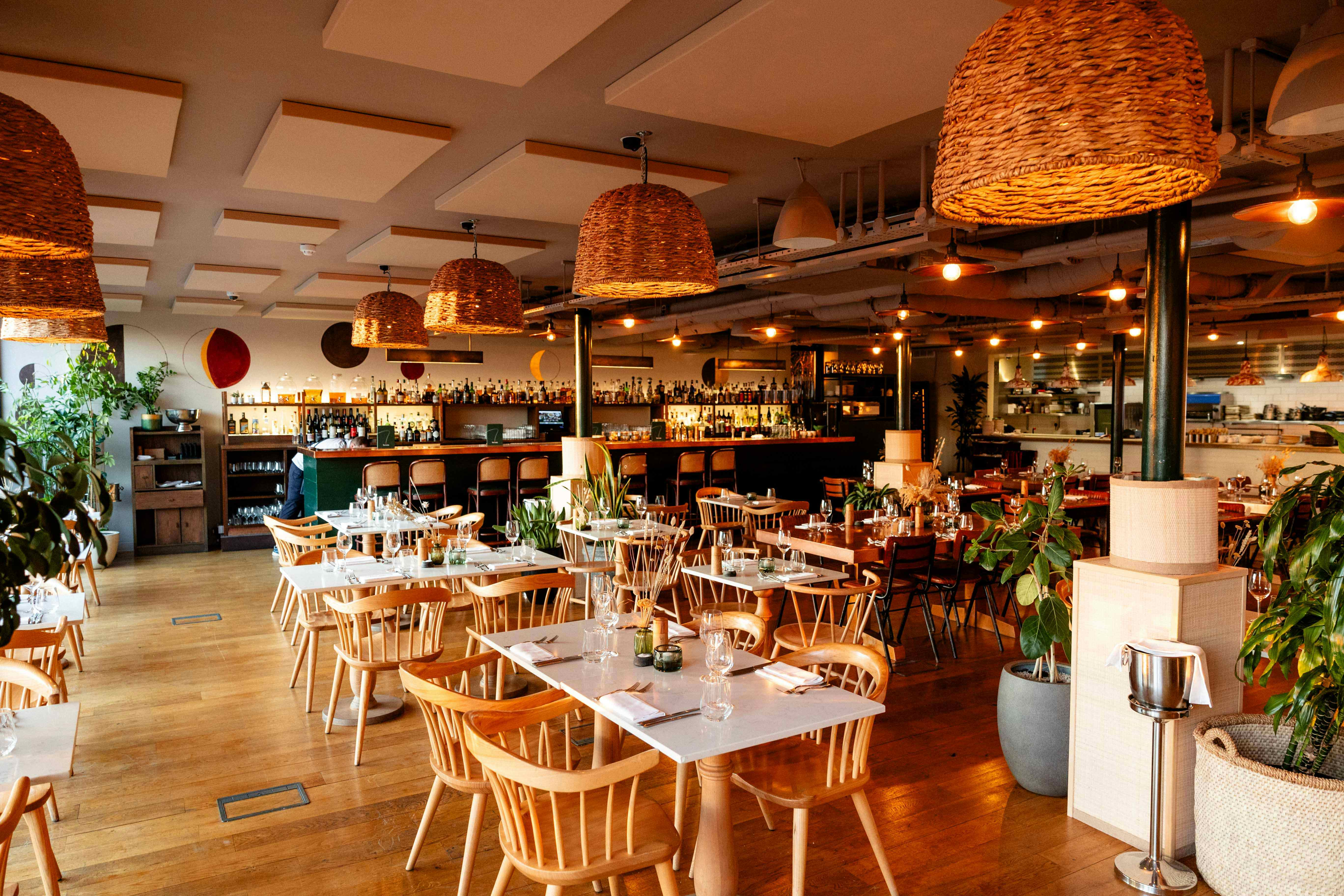 Rucola and Rooftop Pergola