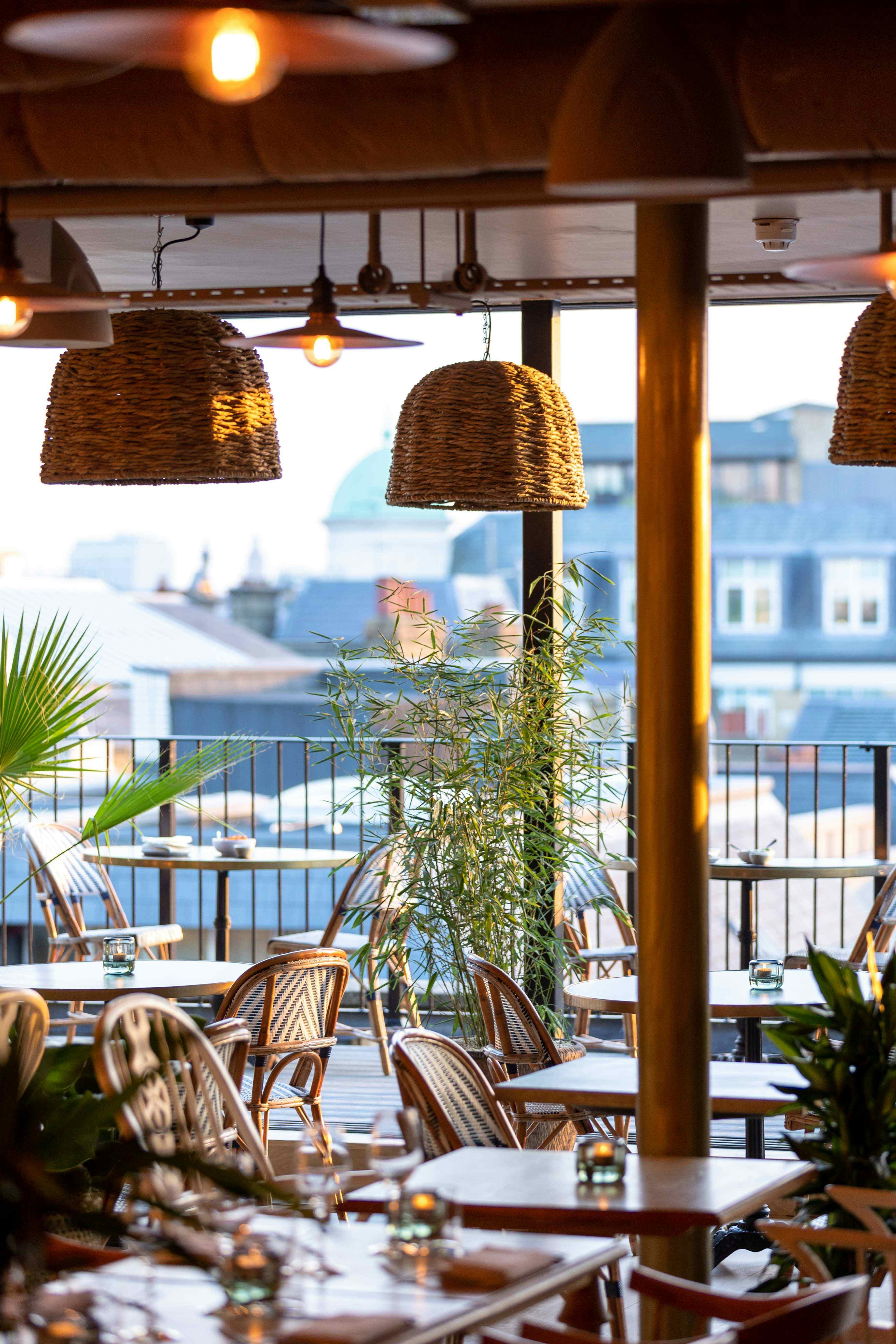 Rucola and Rooftop Pergola 6