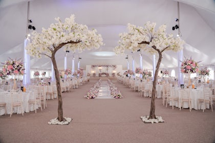 The Mega Marquee 7