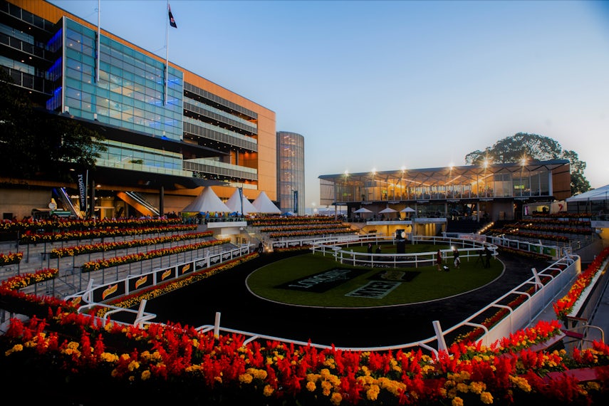 Theatre of the Horse 0