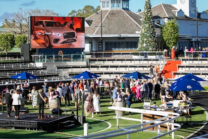 Theatre of the Horse 1