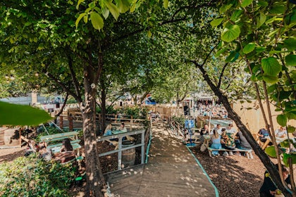 Summer | The Garden 5