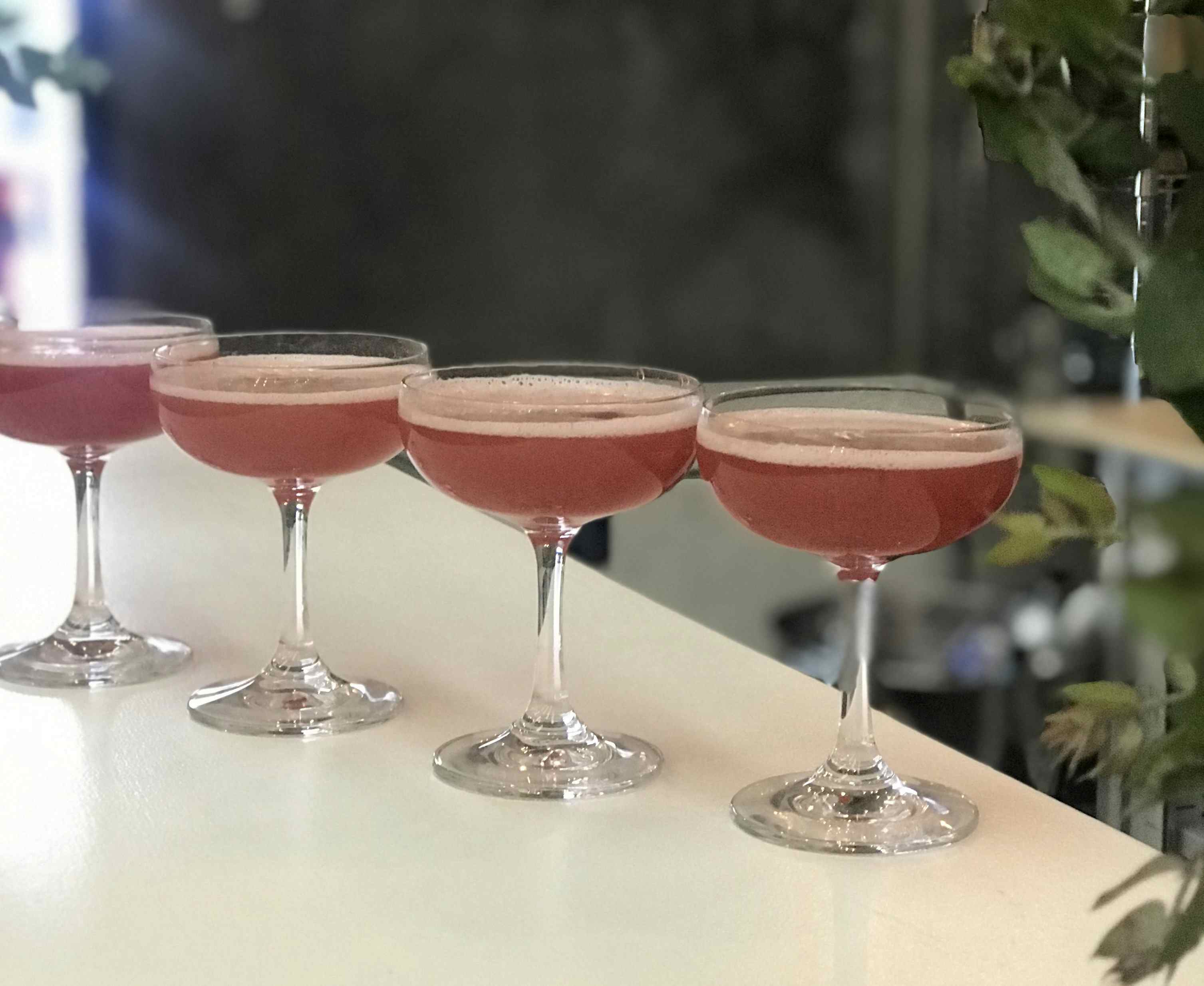 Exclusive Hire - Corporate 10