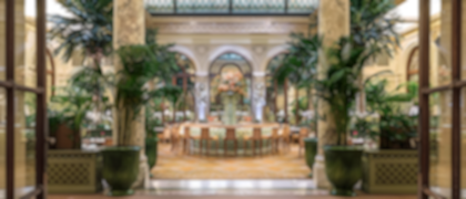 The Palm Court 0