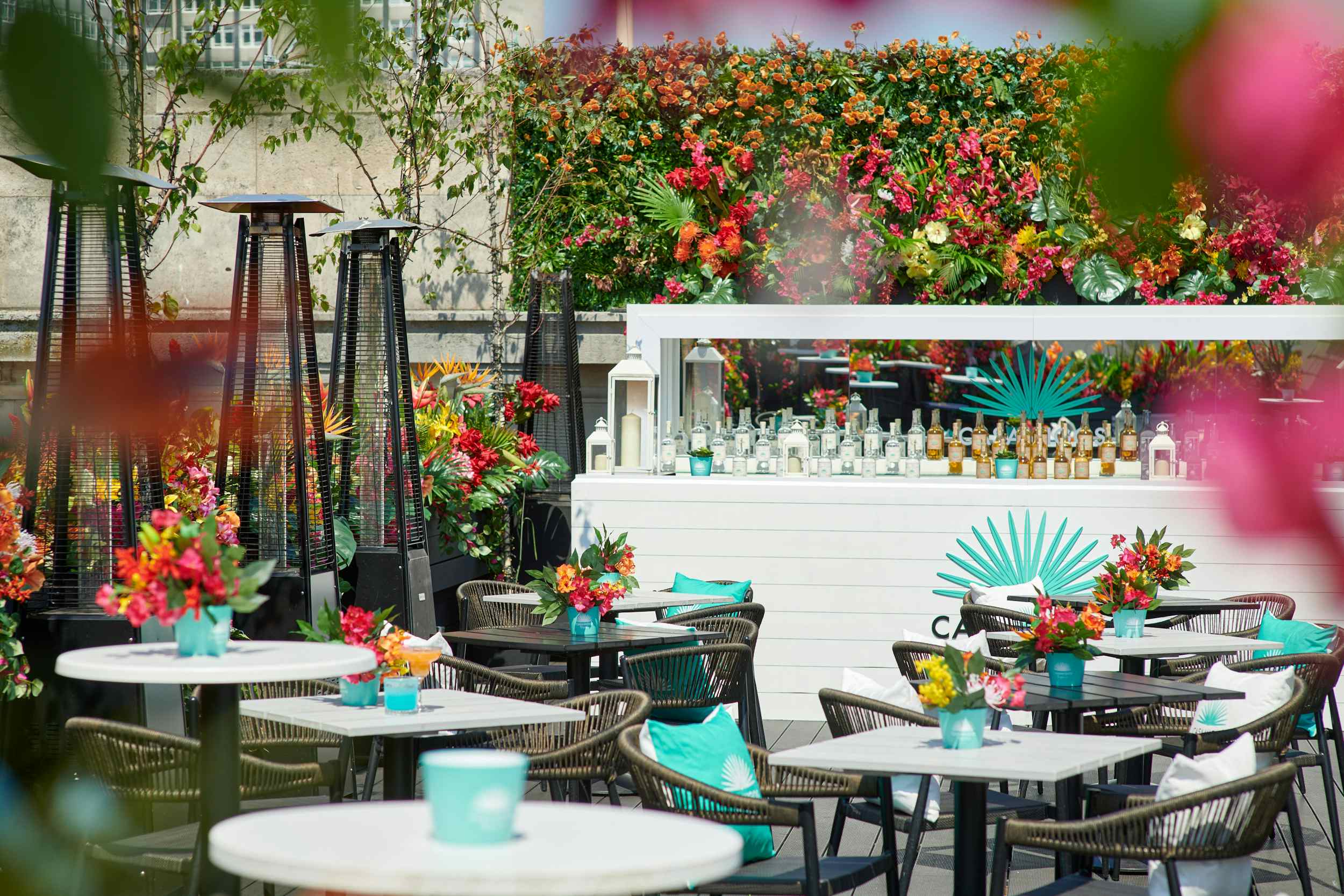 Aqua Nueva Bar & Terrace 1