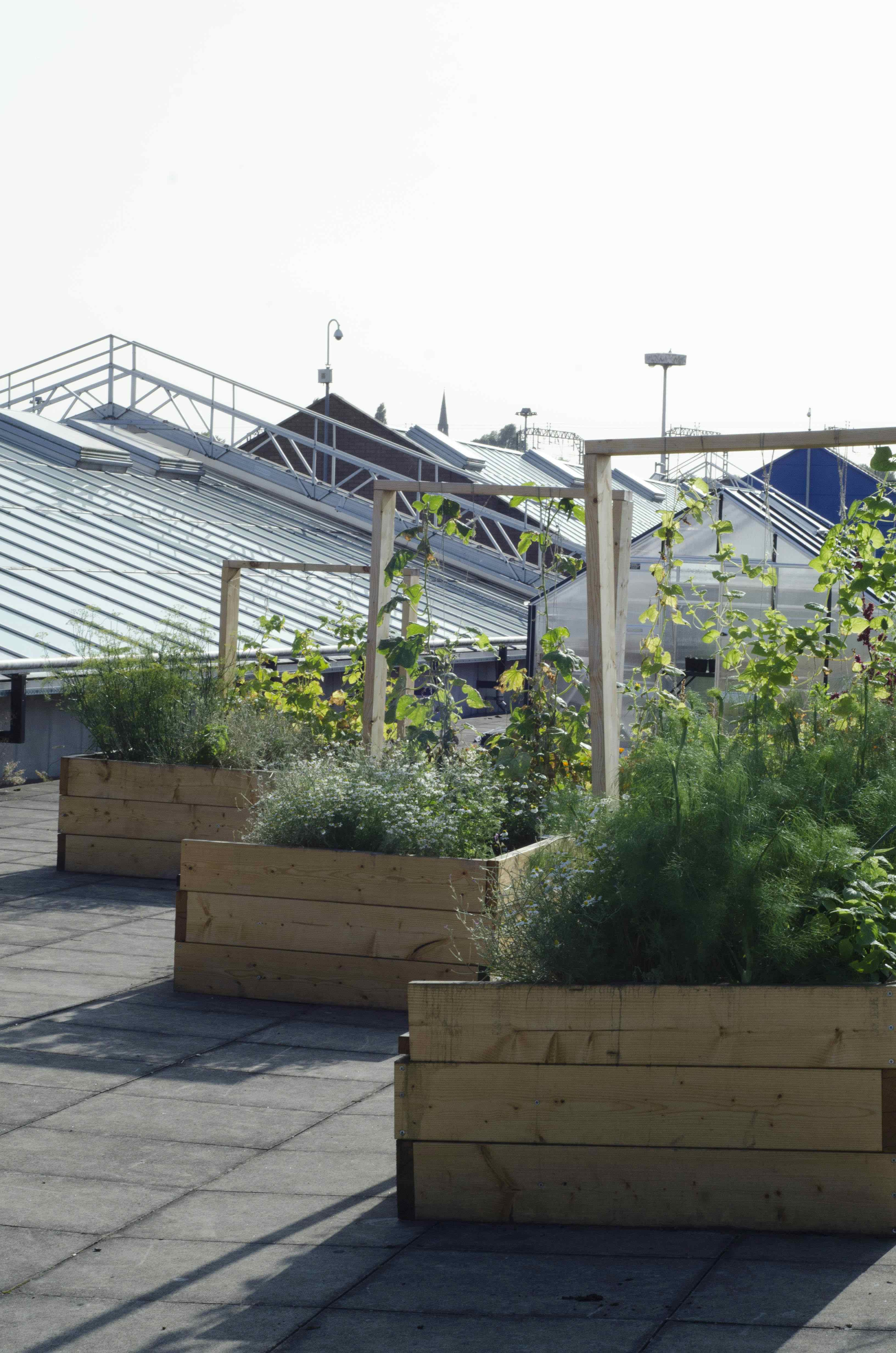 Where The Light Gets In 2