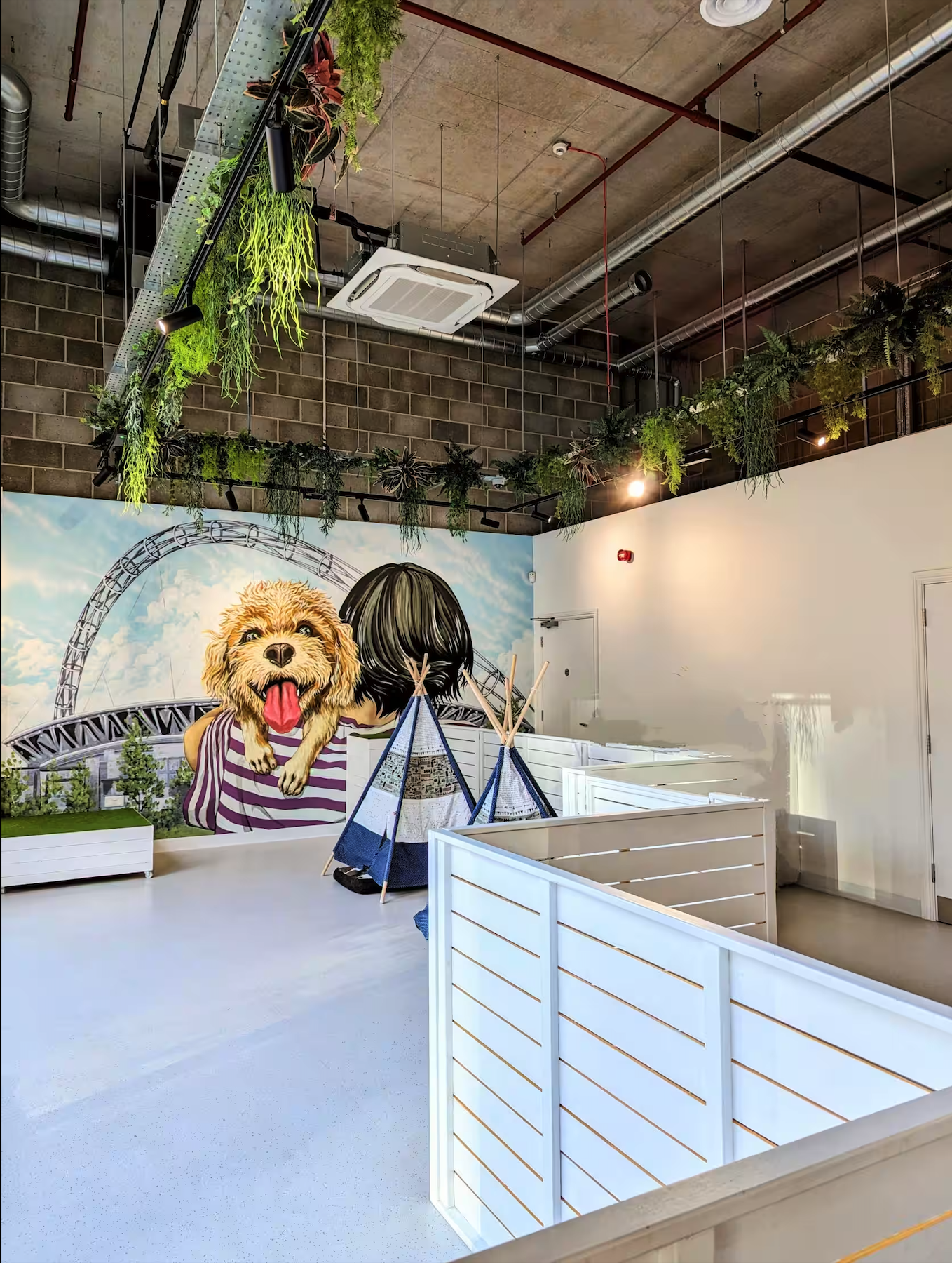 Dog Therapy Celebrations & Team Away Days 1