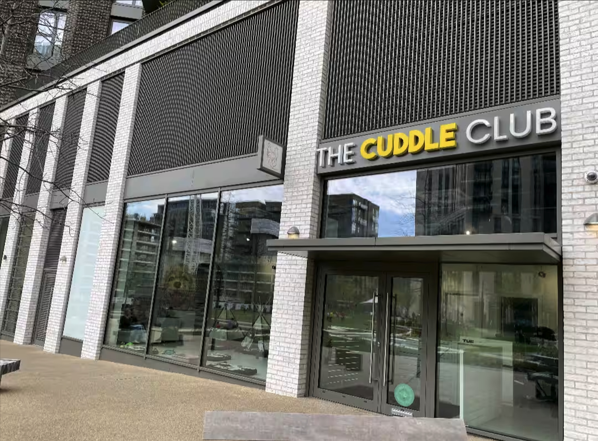 Dog Therapy Celebrations & Team Away Days 6