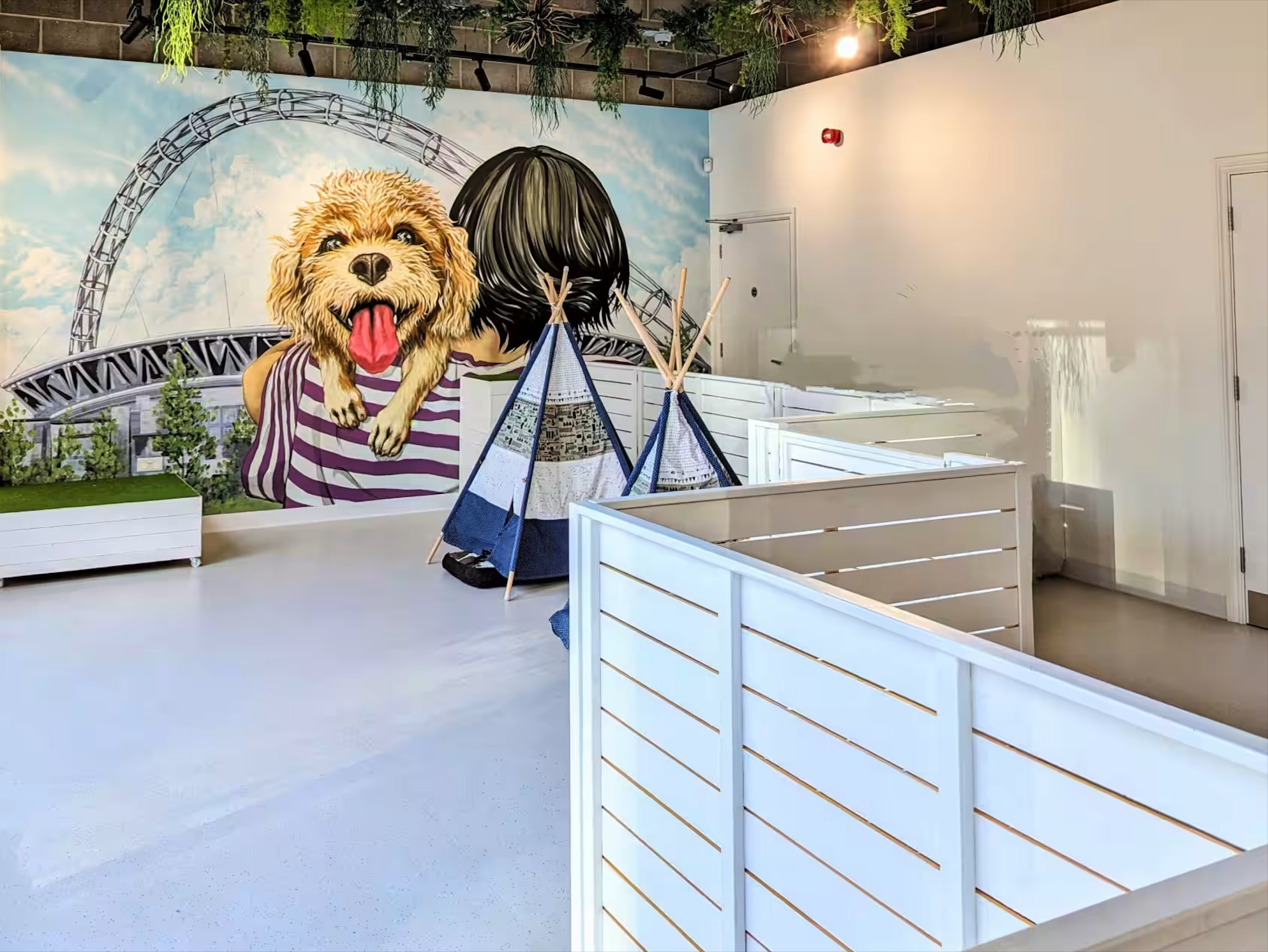 Dog Therapy Celebrations & Team Away Days 4