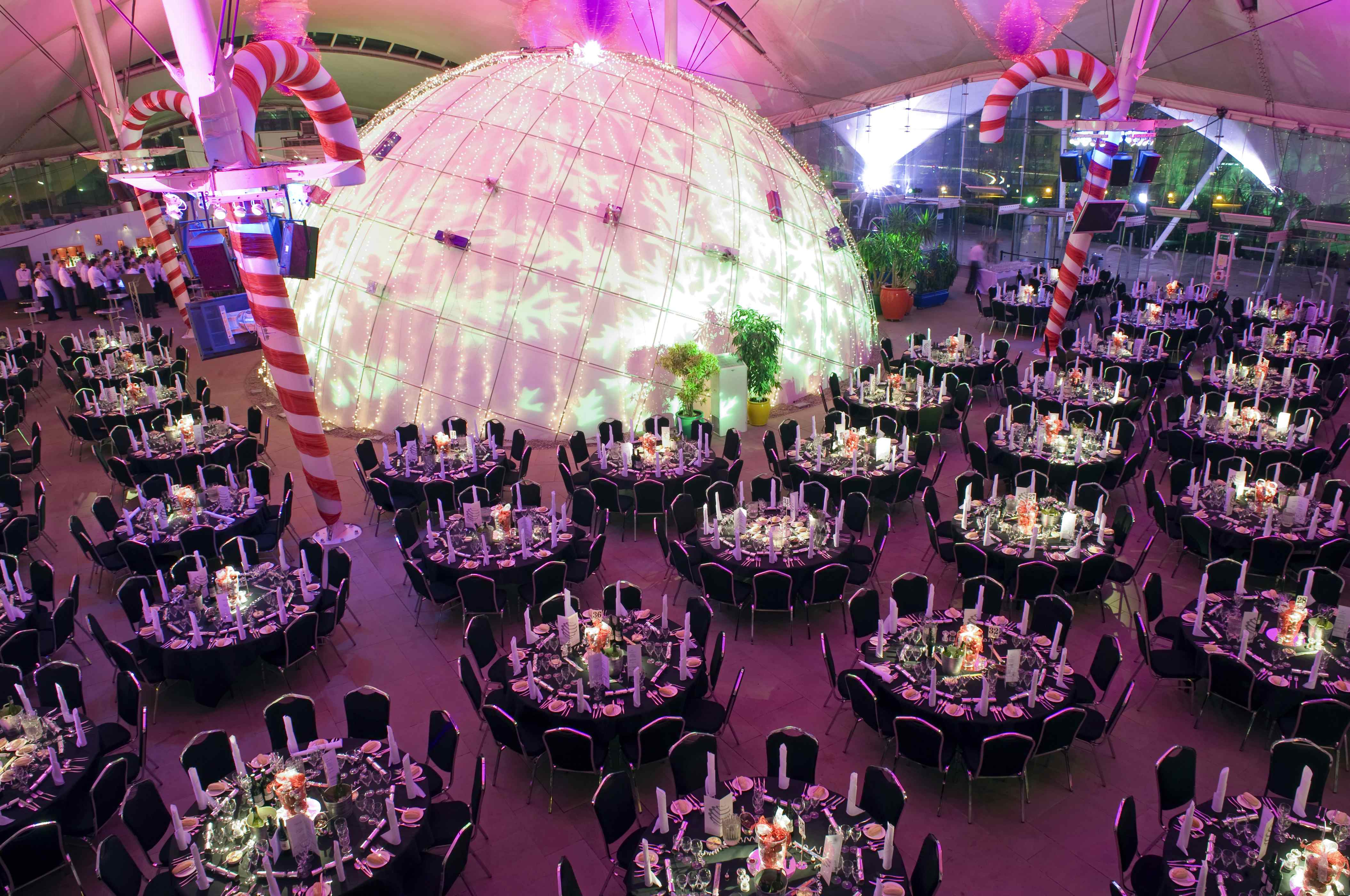 A Night Under The Stars at Dynamic Earth 1