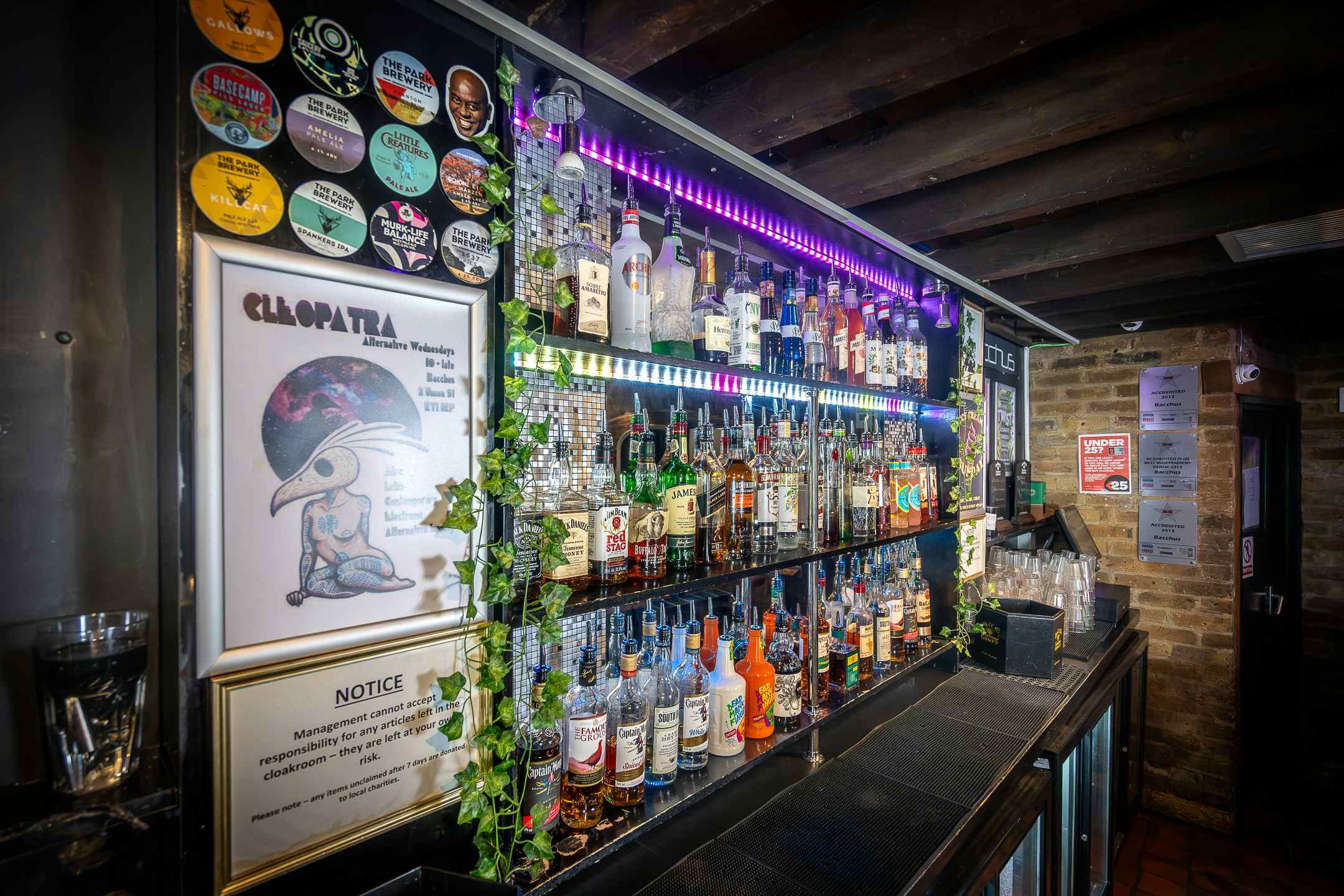 Bacchus Late Bar and Venue - full hire 2