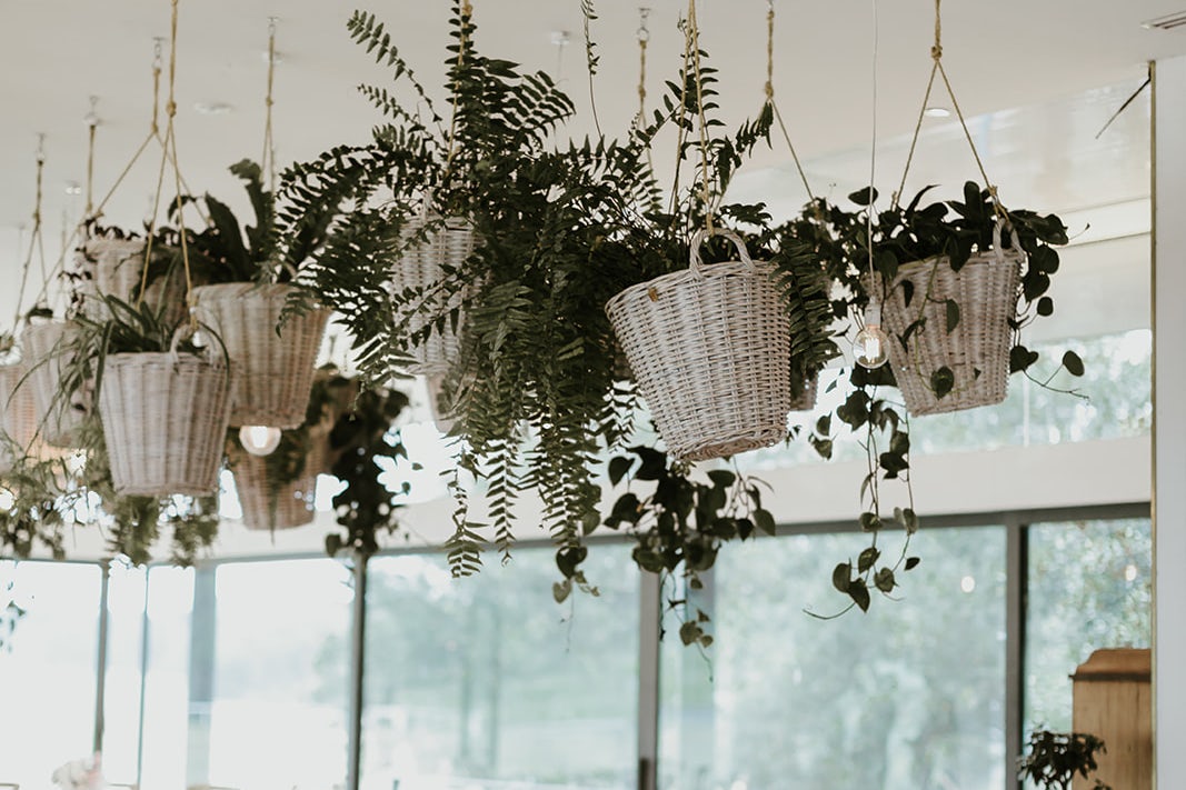 The Paddock and Oakroom with Paddock Lawn 4