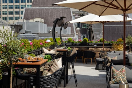 The Stafford Park Suite Terrace 2