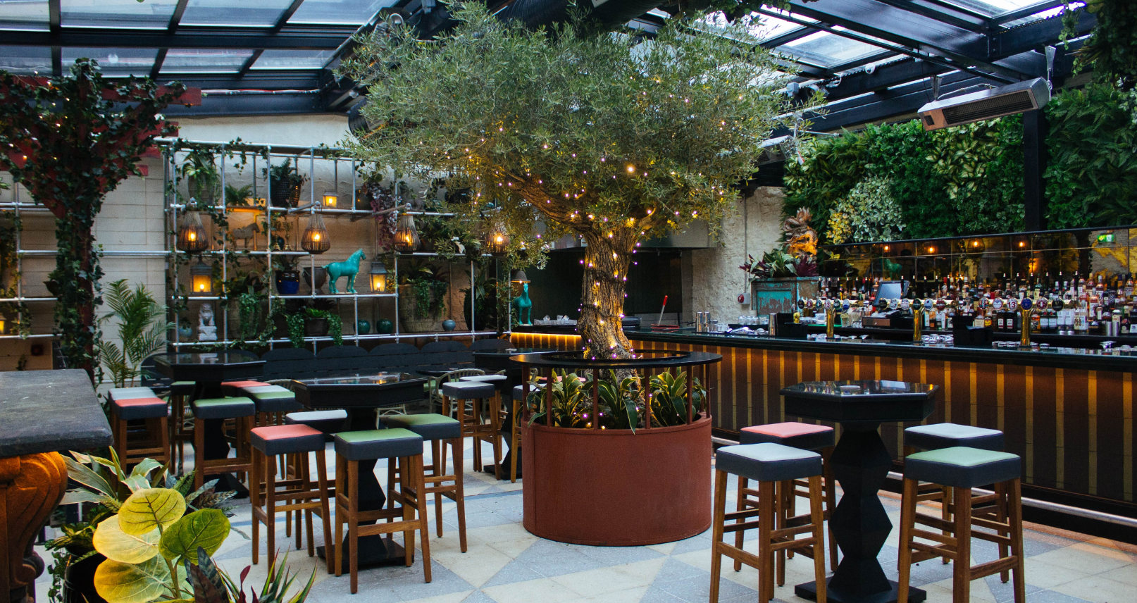 The Botanical Garden 0