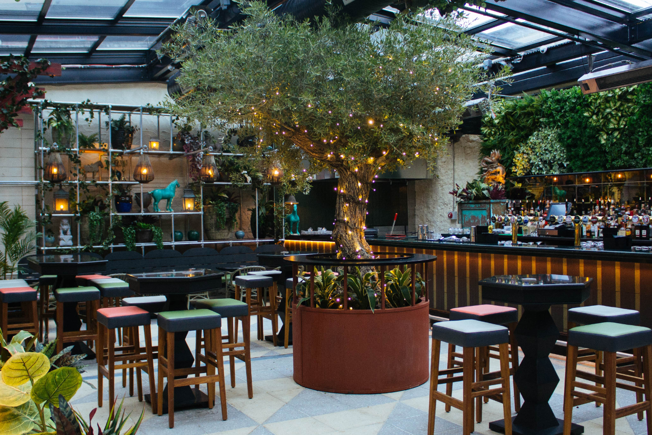 The Botanical Garden 0