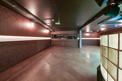 The Greyhound, Peckham 4