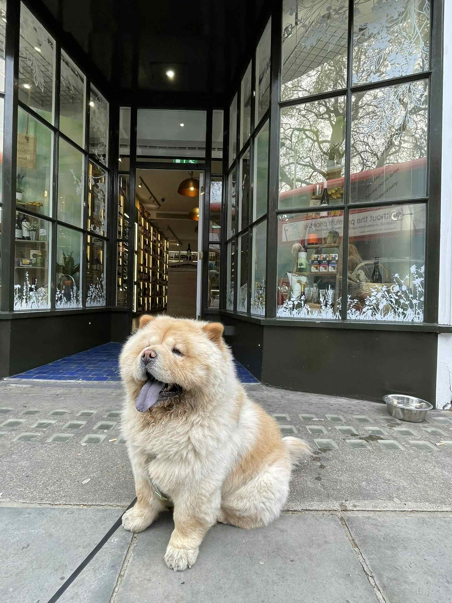 Jeroboams - Private dining, wine tasting, drinks receptions. 18