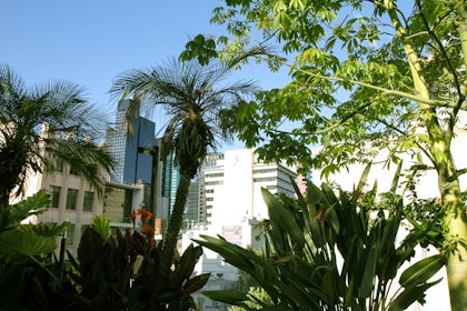 The Carlton Dining Room 2