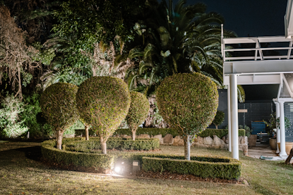 Enchanted Garden 5