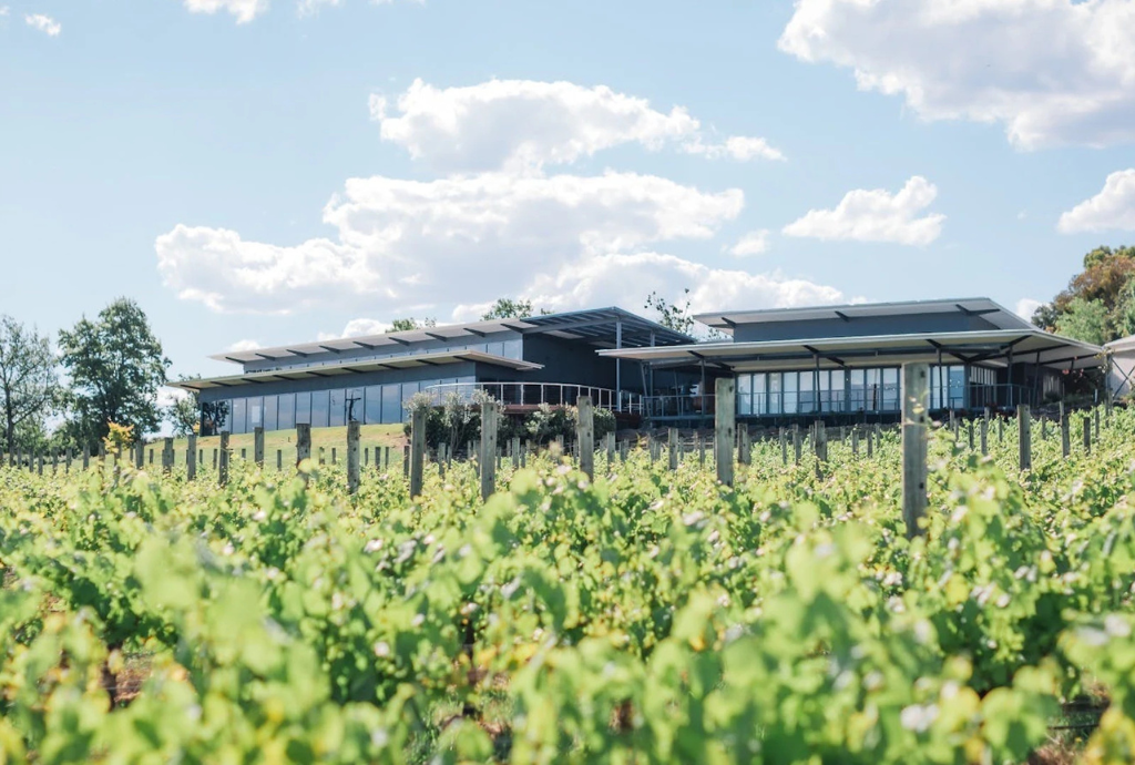 Melba & Anderson Room 9