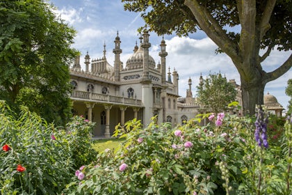 The Kings Lawn 1