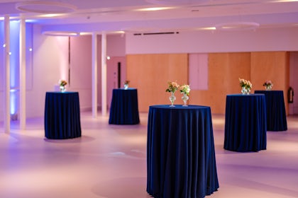 Collections Hall 2