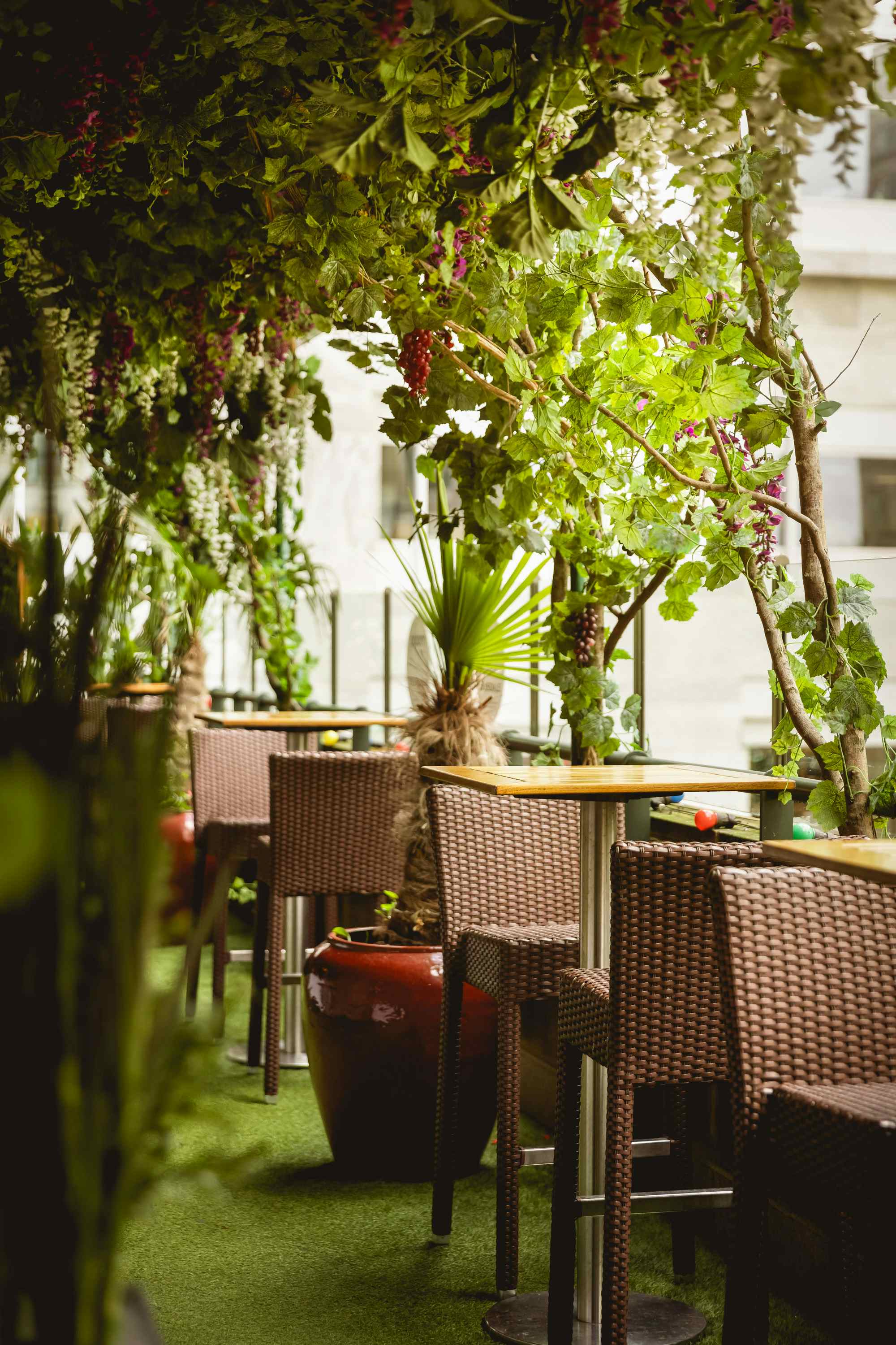 The Hine Bar & Garden Terrace 3