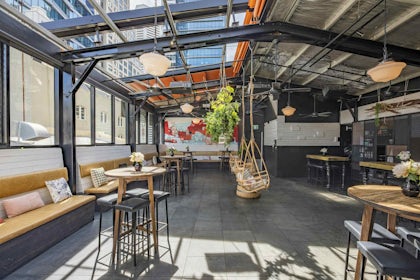 The Rook - Venue Exclusive 1