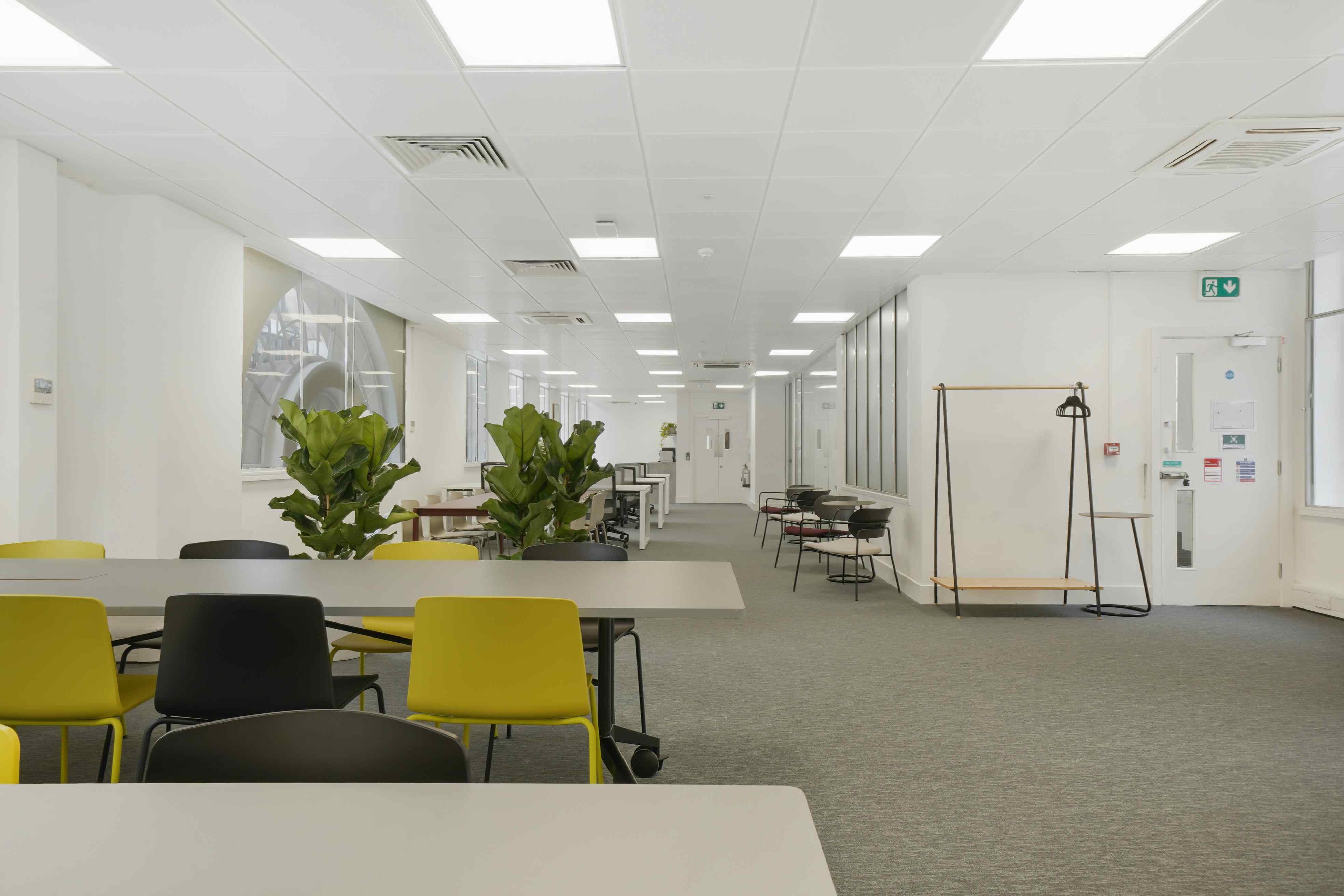 Meeting Room &  Oasis 0