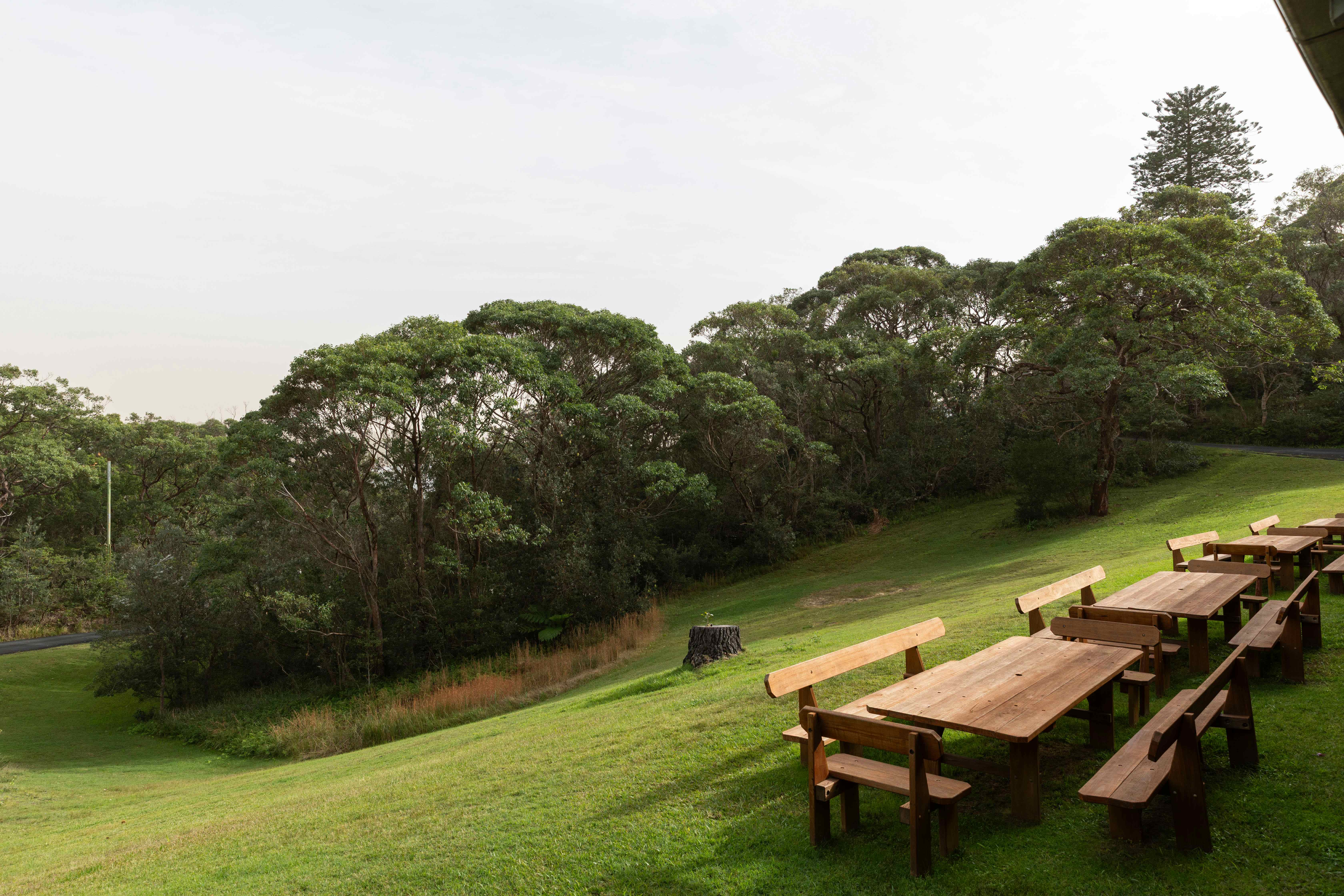 P15 - Former Asiatics 1