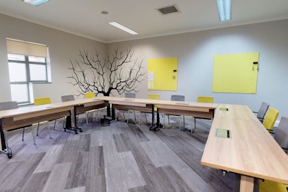 Elm 2