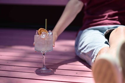 Aces Bar Gin Garden 6