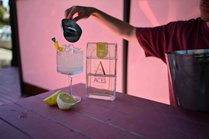 Aces Bar Gin Garden 4