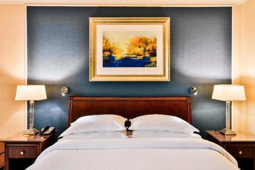 Deluxe Room, Guest room, 1 Double 0