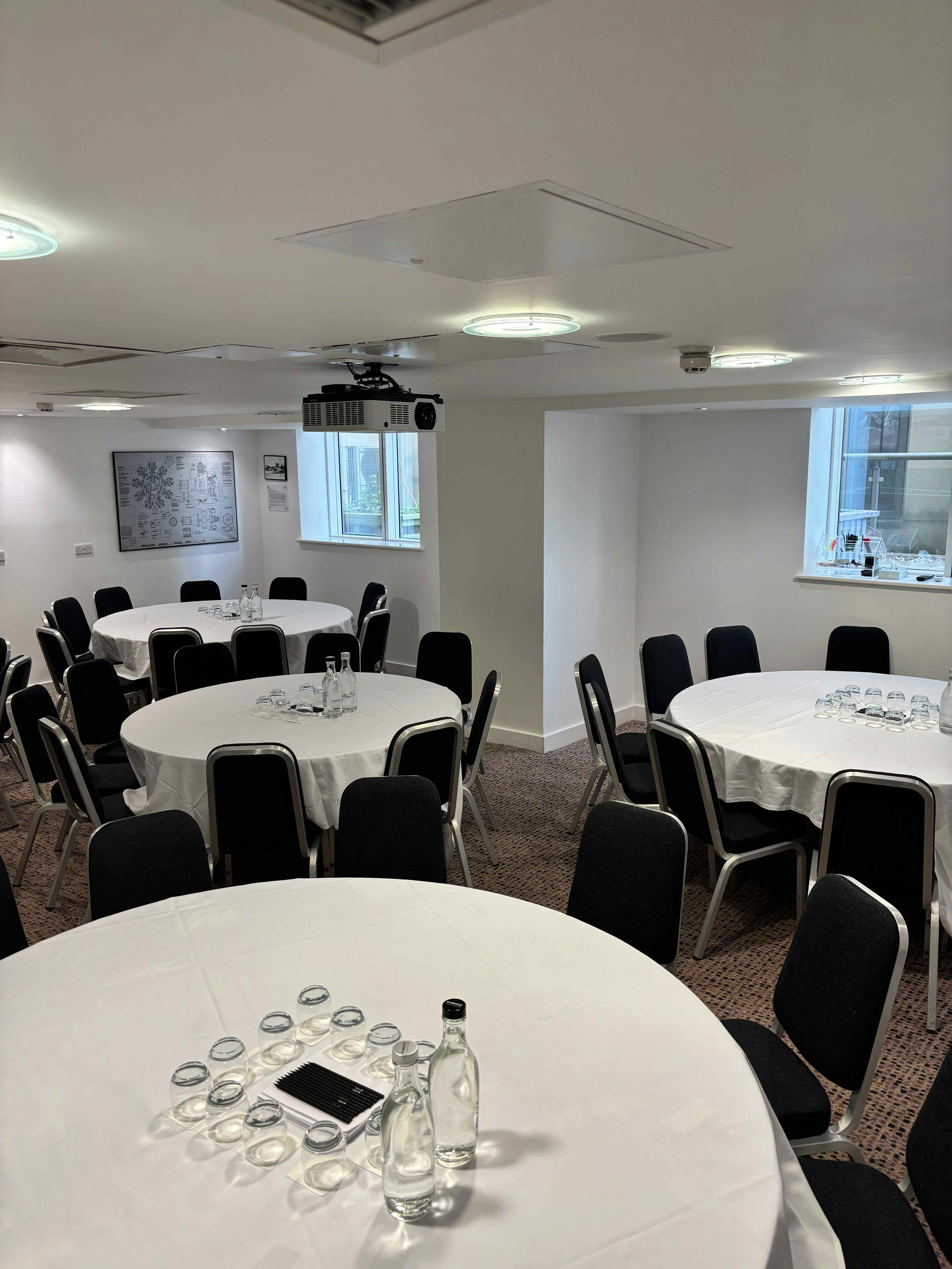 Pegasus and Phoenix Suite 1