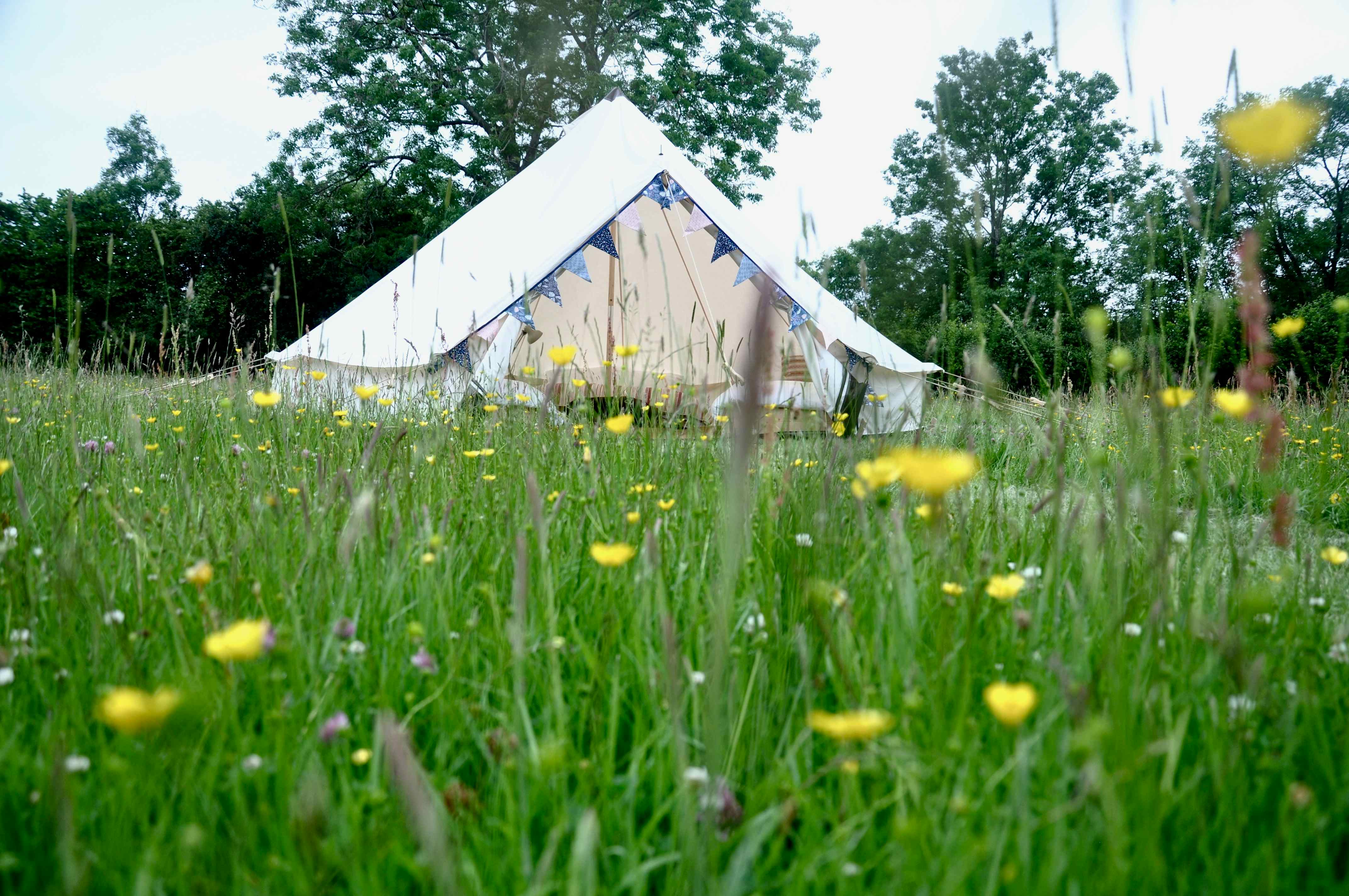 Drovers Rest Farm 16